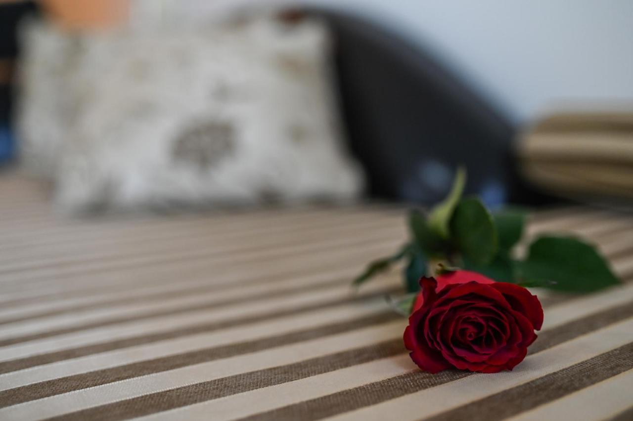 Garni Hotel Dash โนวีซาด ภายนอก รูปภาพ